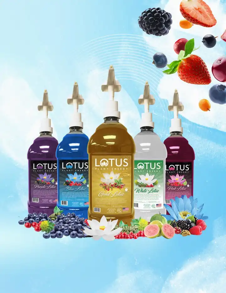 Lotus Energy & Syrups