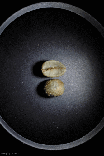 The Art of Home Roasting with Green Coffee Beans