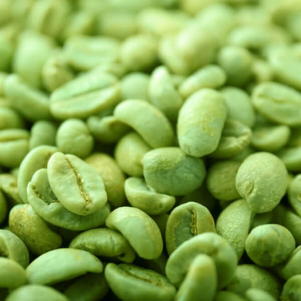 Raw green coffe beans in pile
