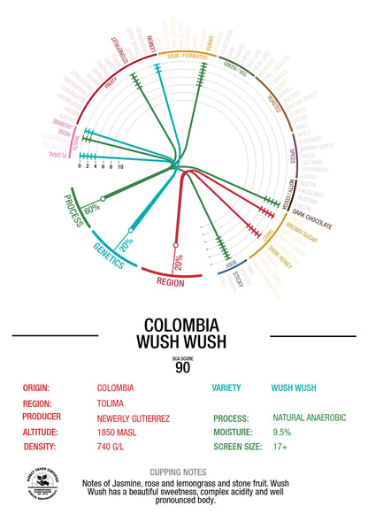 COLOMBIA - FINCA MONTEVERDE - WUSH WUSH - NATURAL