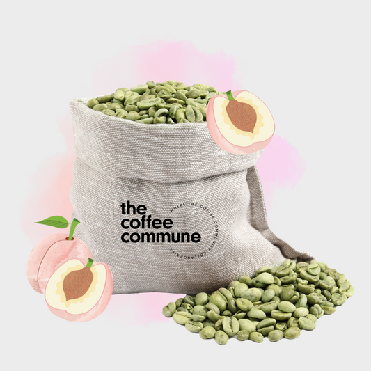 Colombia - Peach Infusion