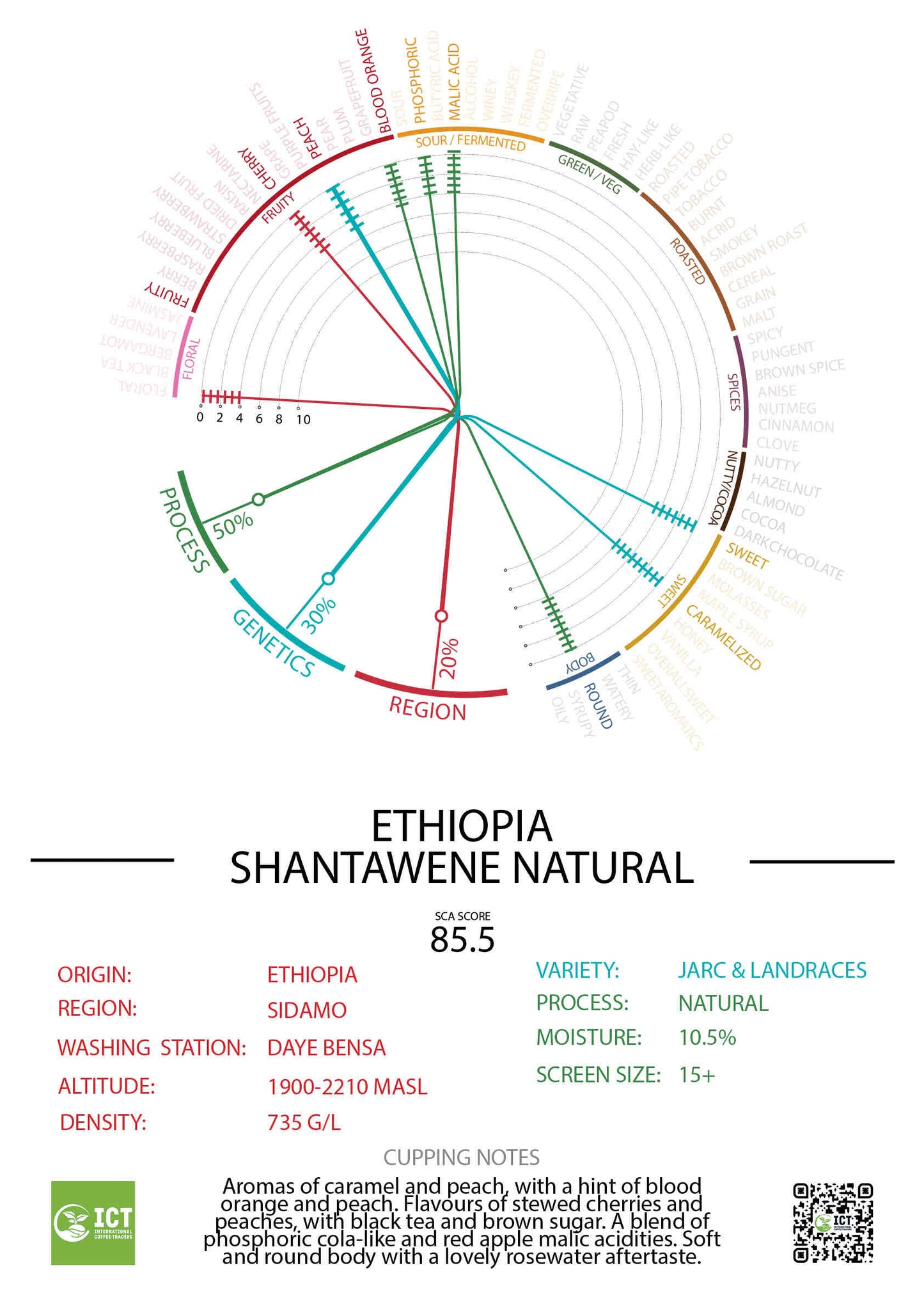 ETHIOPIA - SIDAMO - SHANTAWENE - "GRADE 1" NATURAL