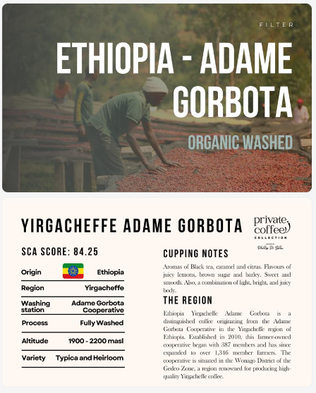 ETHIOPIA ADAME GORBOTA SINGLE ORIGIN FILTER ROASTED