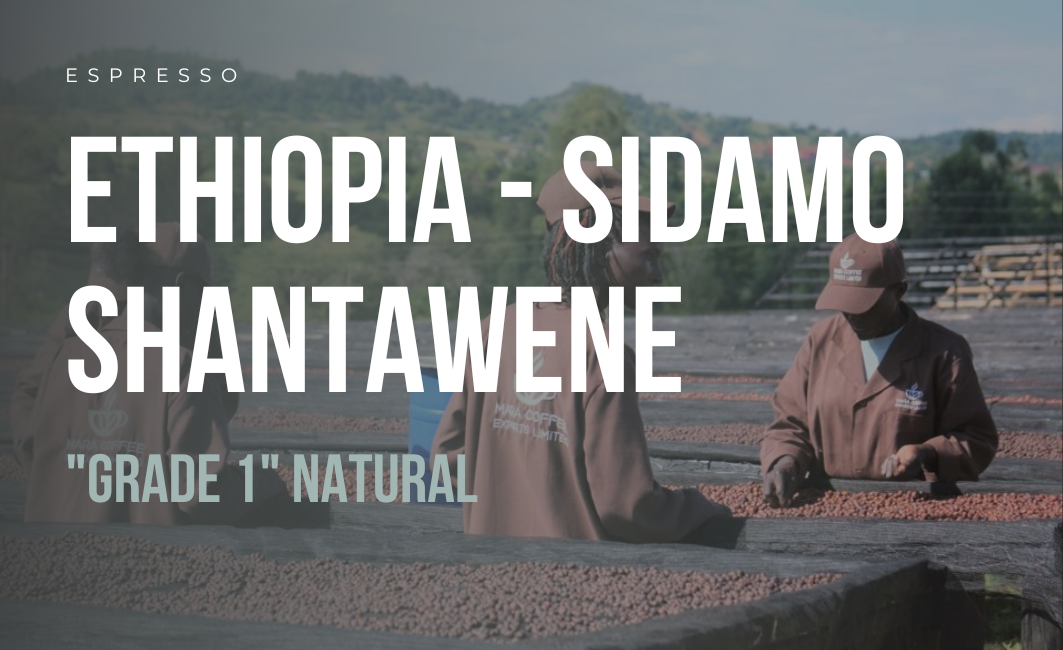 ETHIOPIA - SIDAMO - SHANTAWENE - SINGLE ORIGIN ESPRESSO