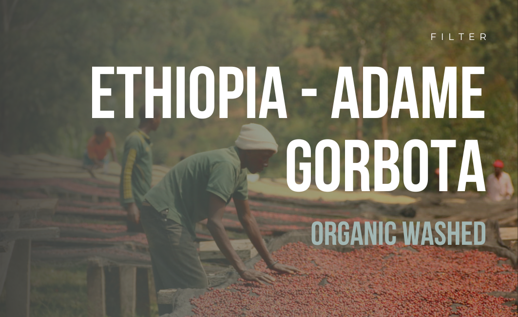 ETHIOPIA ADAME GORBOTA SINGLE ORIGIN FILTER ROASTED