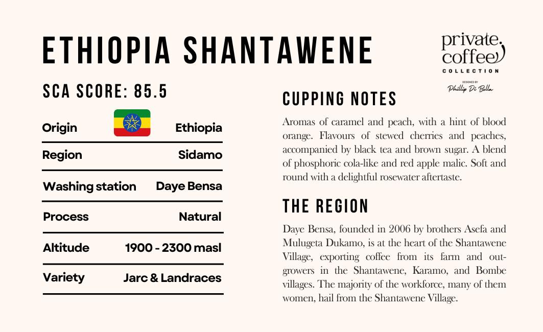 ETHIOPIA - SIDAMO - SHANTAWENE - SINGLE ORIGIN ESPRESSO