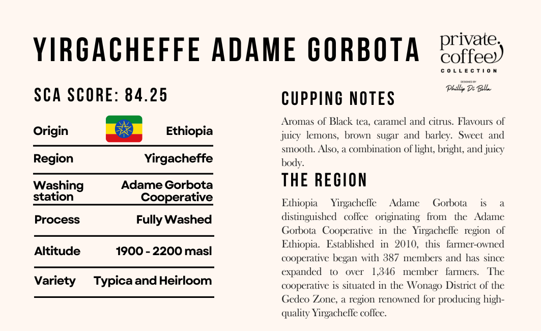 ETHIOPIA ADAME GORBOTA SINGLE ORIGIN FILTER ROASTED