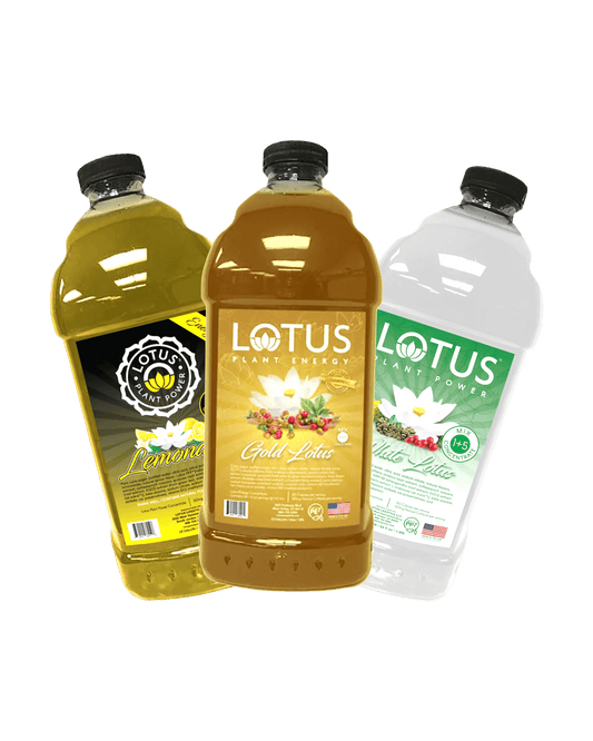 Lotus Energy Starter Pack- Natural Caffeine