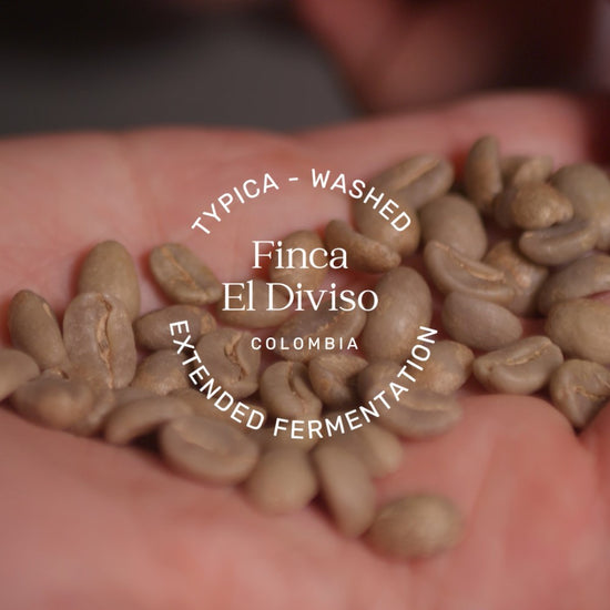 This Colombian beauty undergoes an extended fermentation, making it one of the most floral coffees we have tasted recently.

It opens with beautifully soft floral and fruit aromas. The flavour profile is vibrant with notes of lavender, hibiscus, rose, and raspberries, with just a hint of creaming soda. It is an elegant and soft coffee with a light-medium body.

With an impressive ICT Score of 89.25, it shines beautifully as both a filter roast and a dynamic espresso.