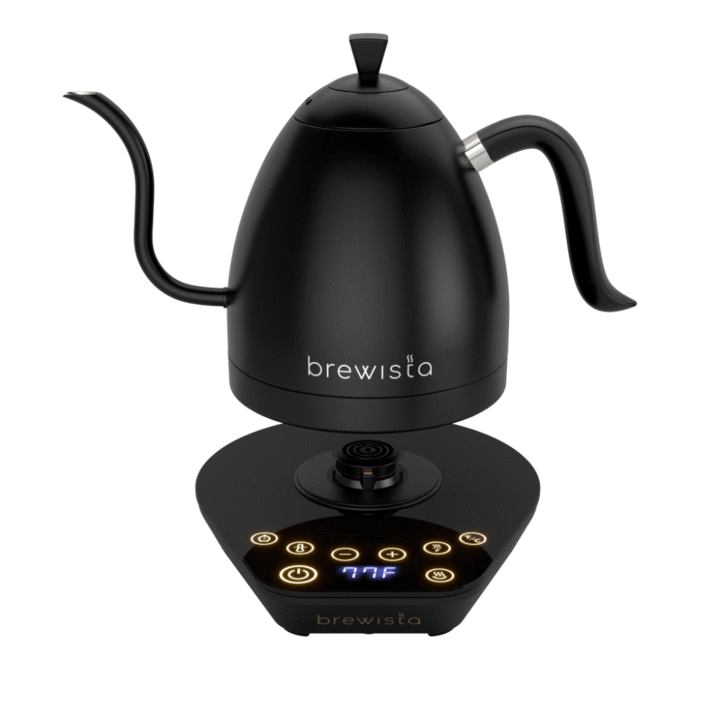 Variable Digital Kettle | Brewista Artisan | 1L